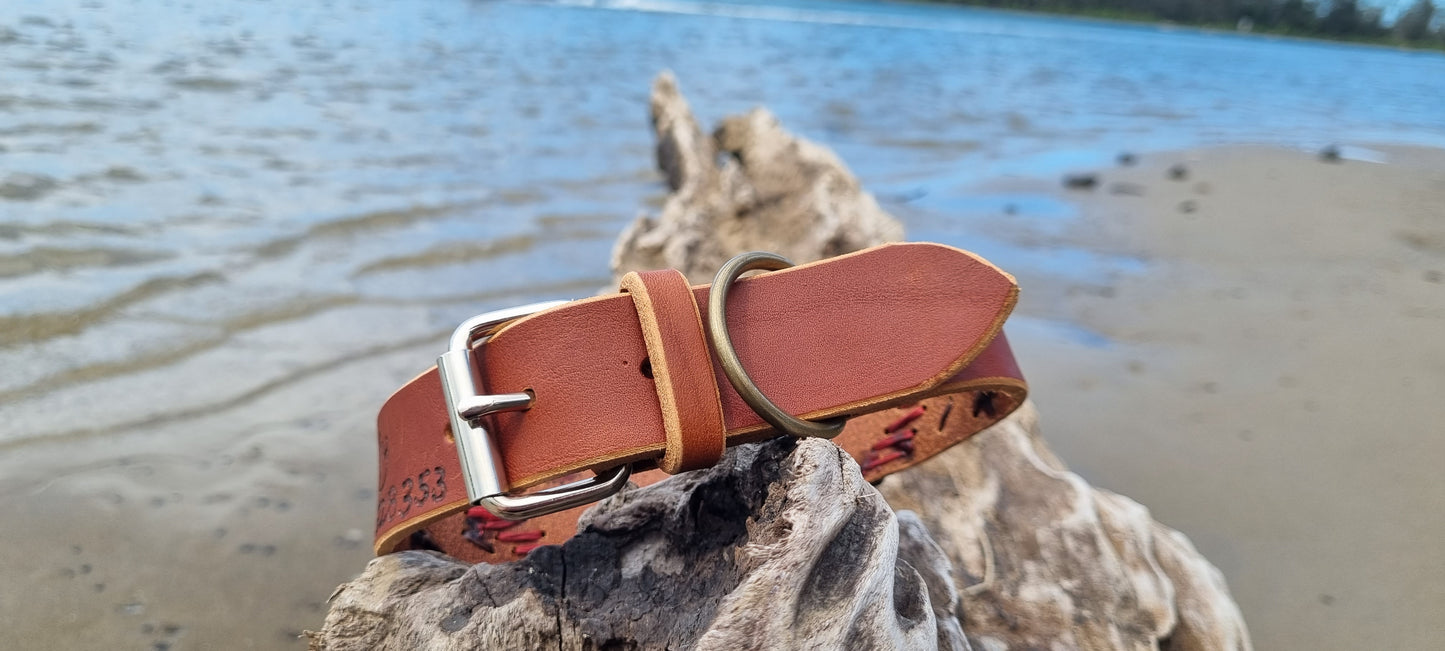 Engraved Dog Collar