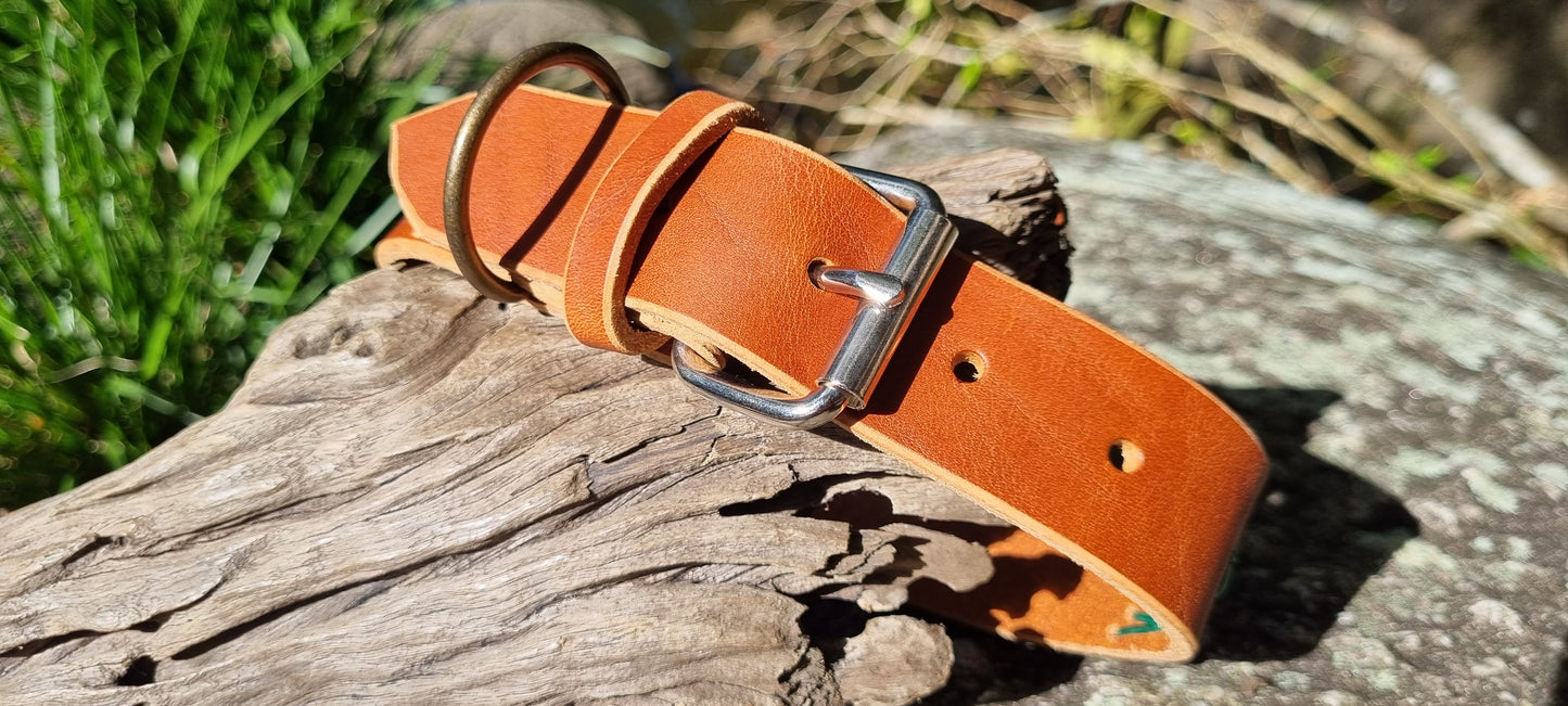 Engraved Dog Collar
