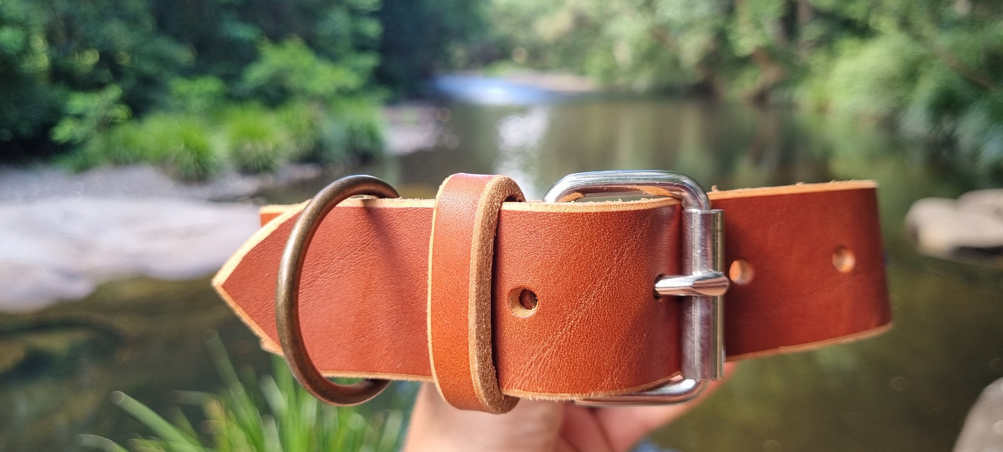 Engraved Dog Collar