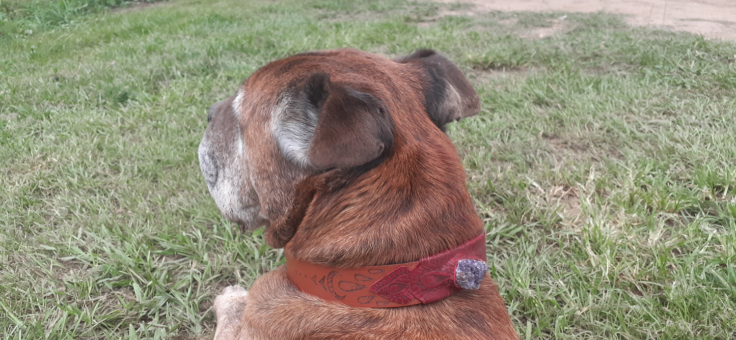 Custom Dog Collar