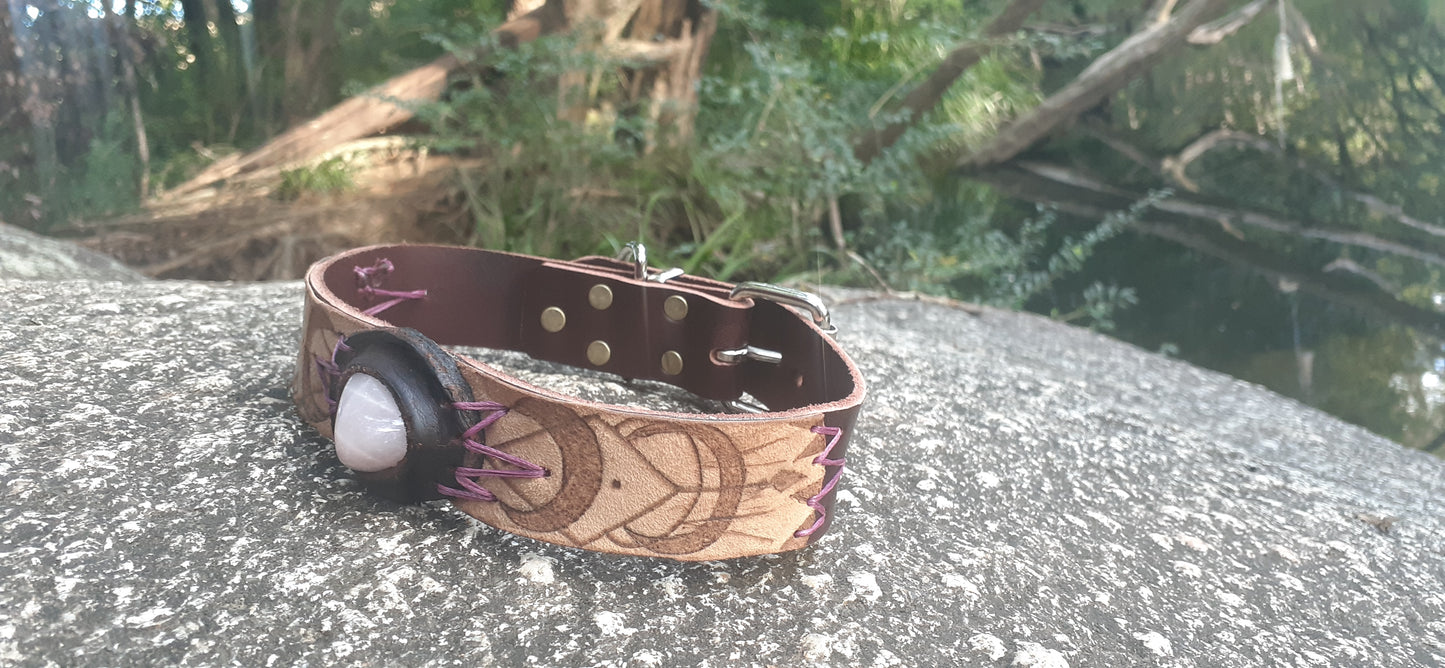 Custom Dog Collar