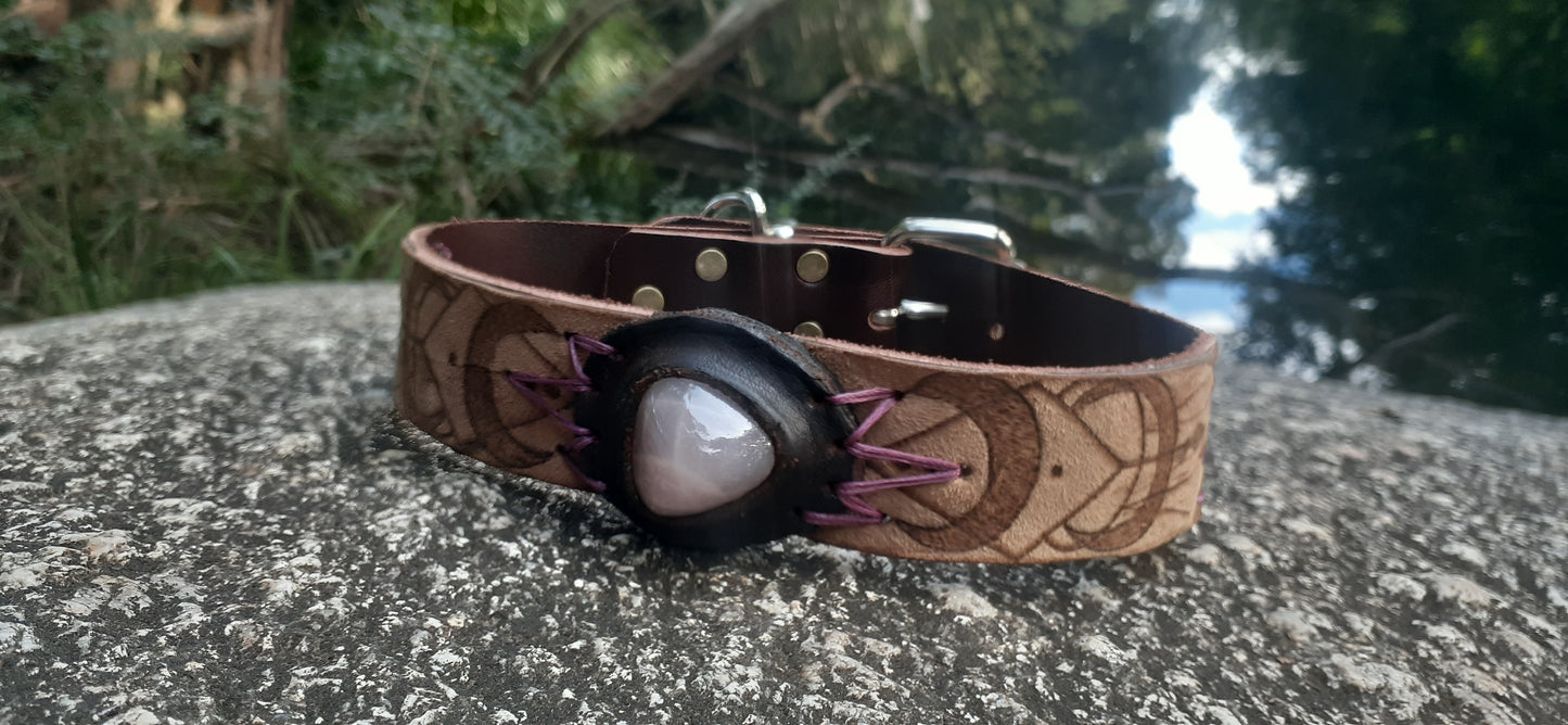 Custom Dog Collar