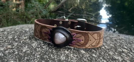 Custom Dog Collar