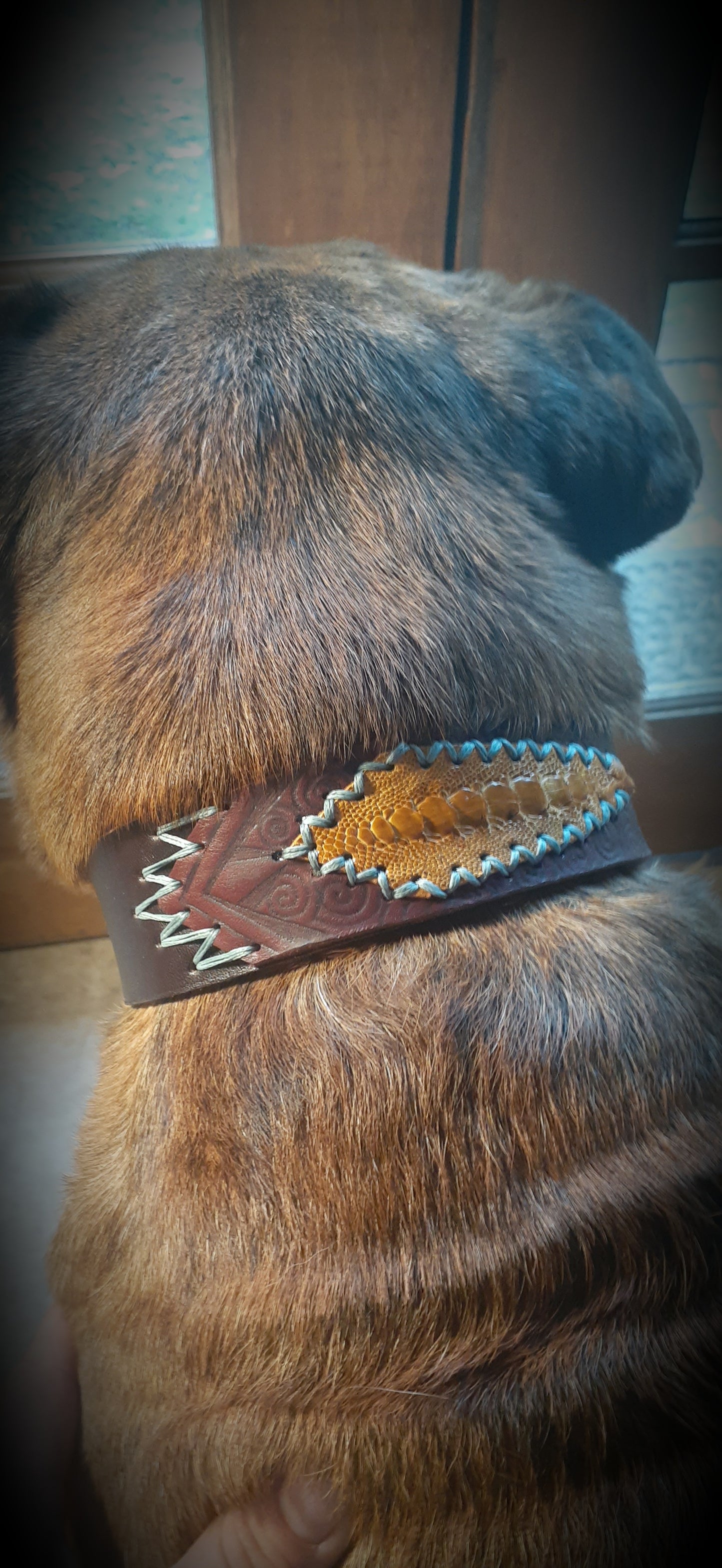 Custom Dog Collar