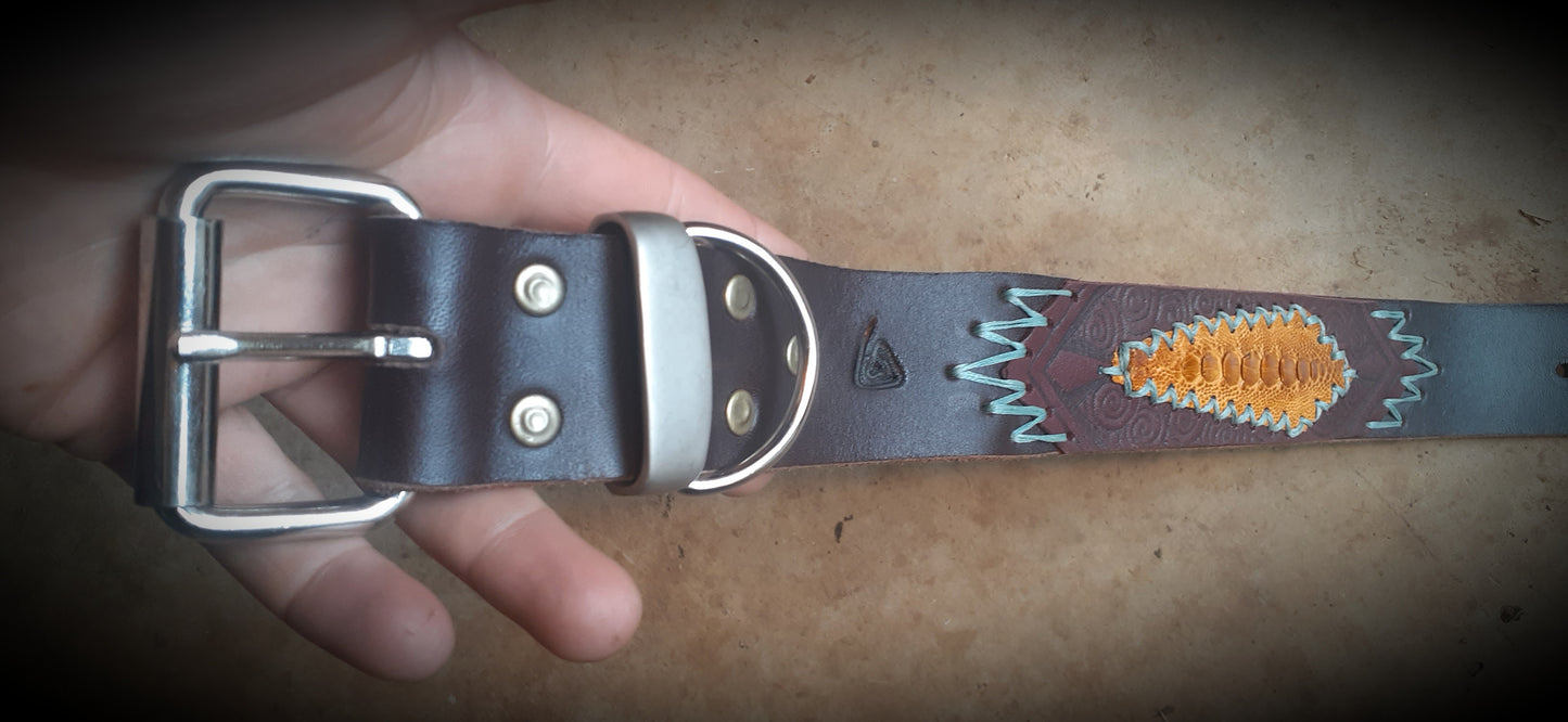 Custom Dog Collar