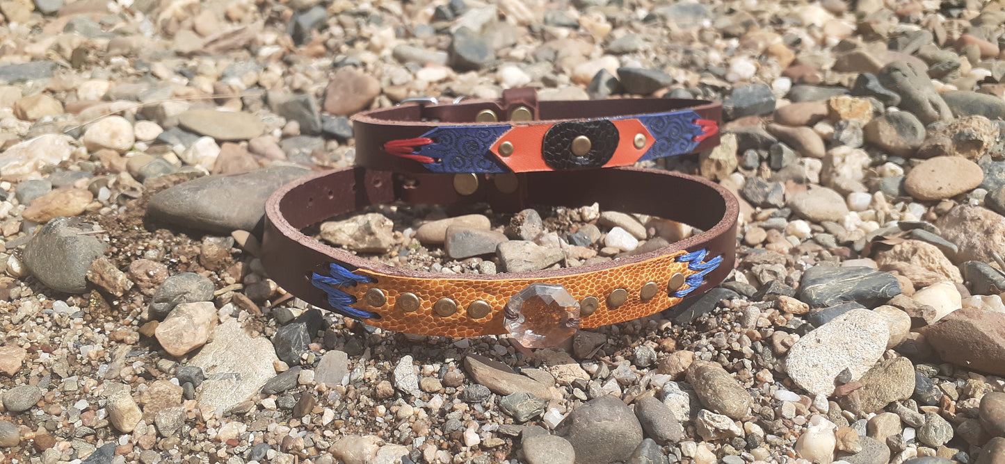 Custom Dog Collar