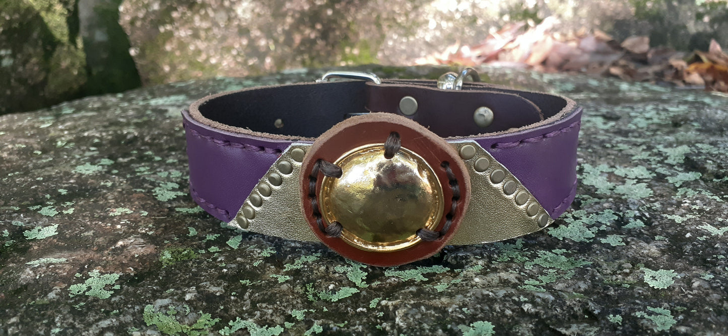 Custom Dog Collar