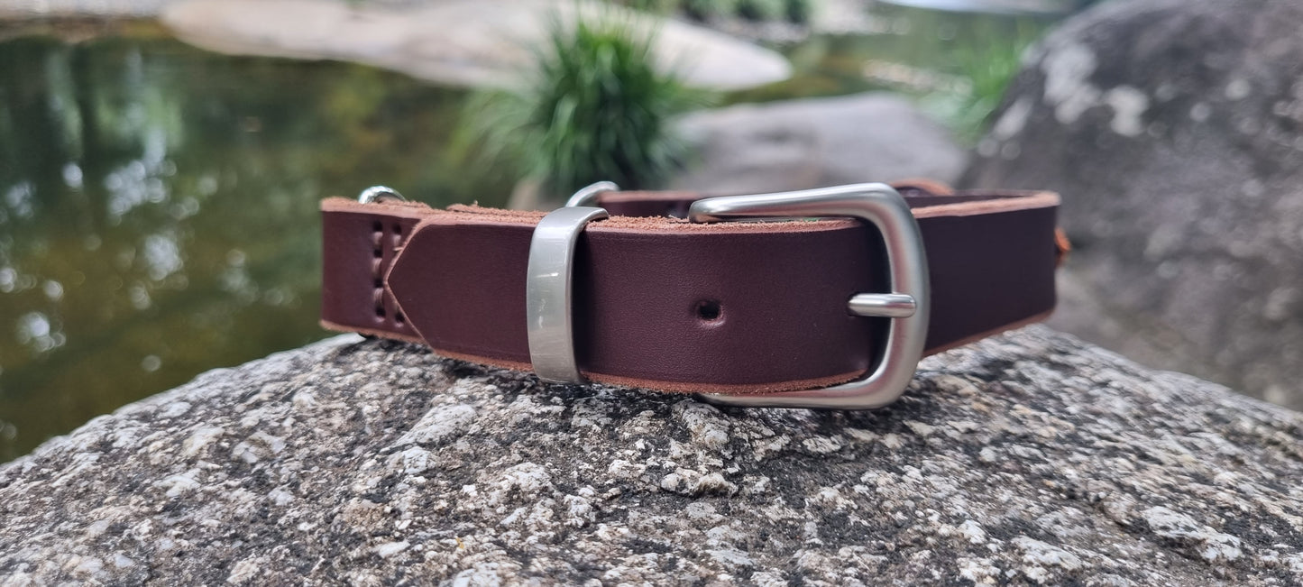 Custom Dog Collar