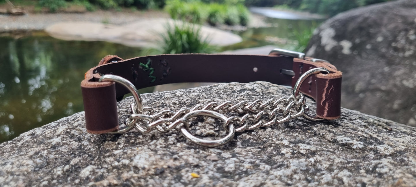 Custom Dog Collar