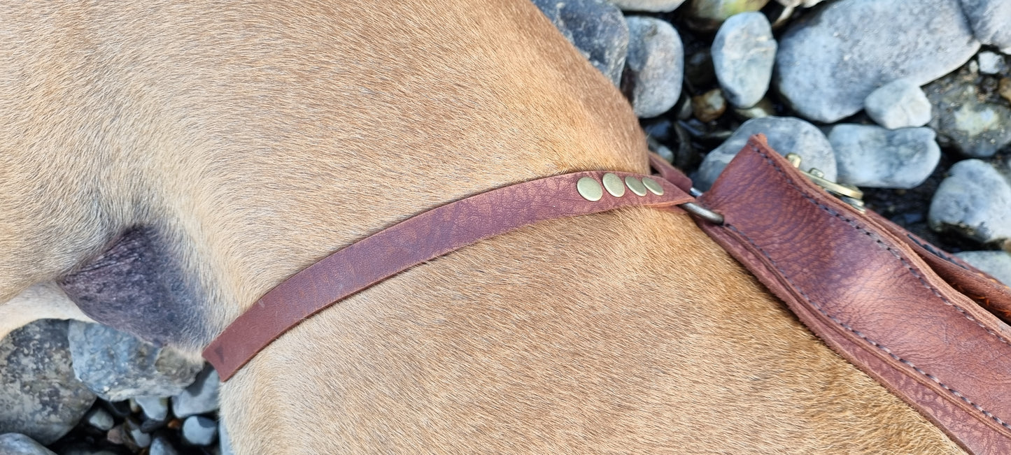 Dog back pack