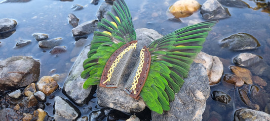 Lorikeet wing smudge fans