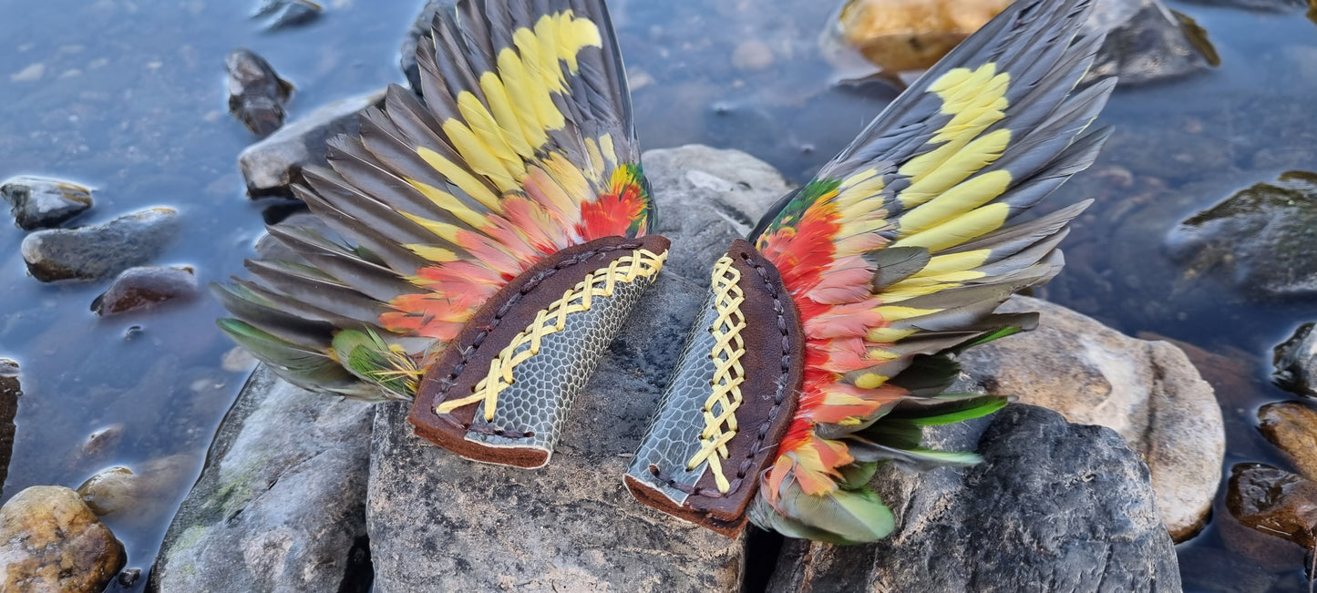 Lorikeet wing smudge fans