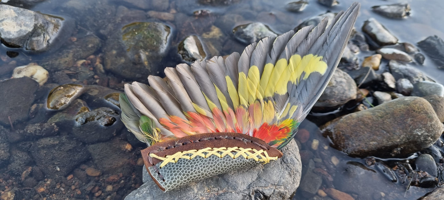 Lorikeet wing smudge fans