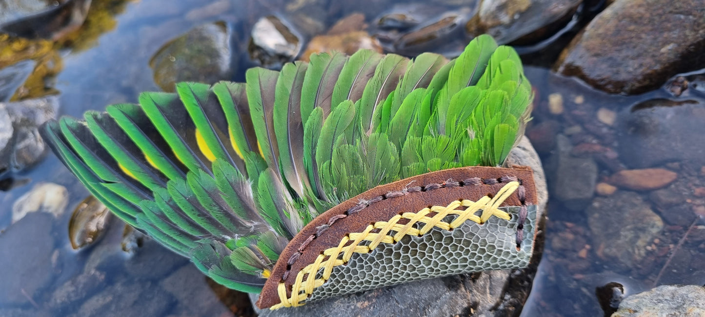 Lorikeet wing smudge fans