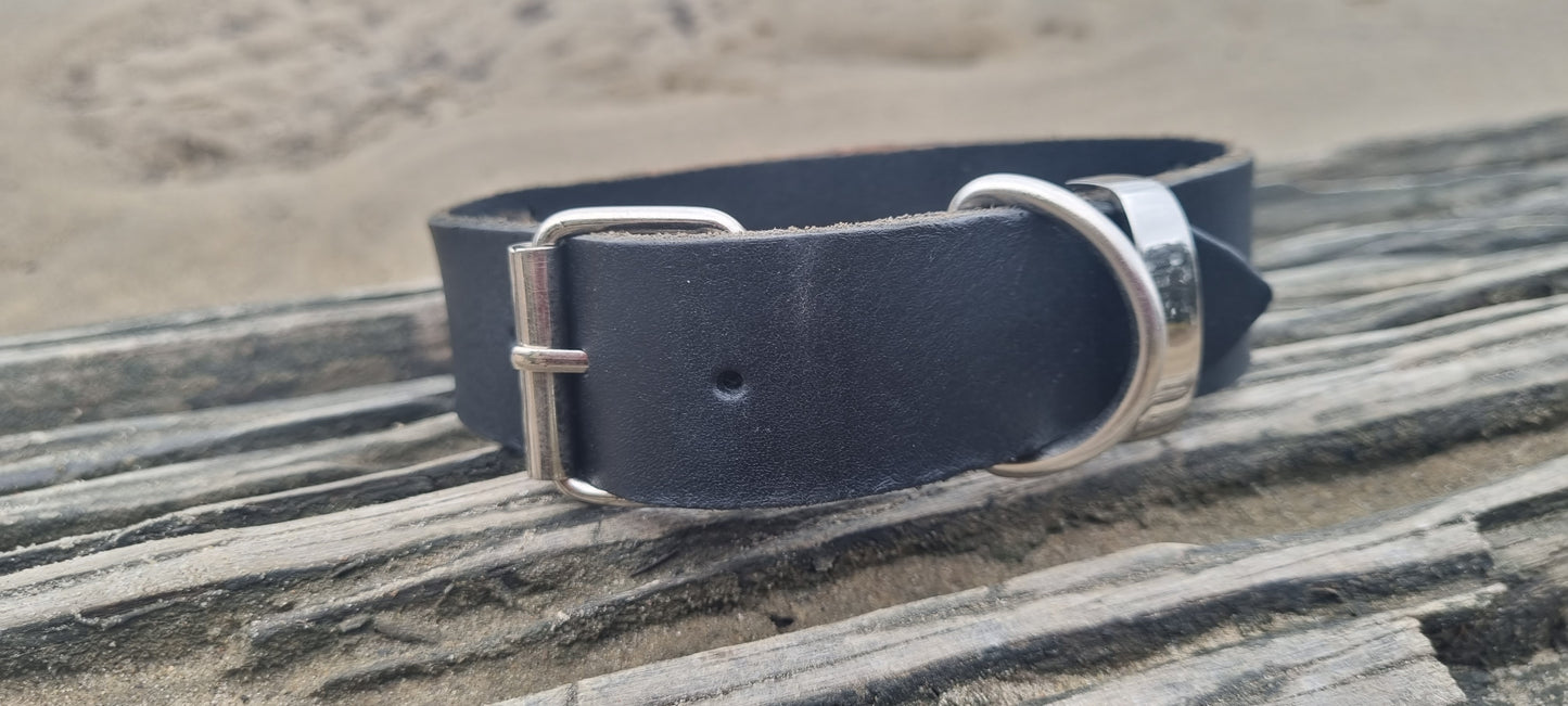 Dog Collar