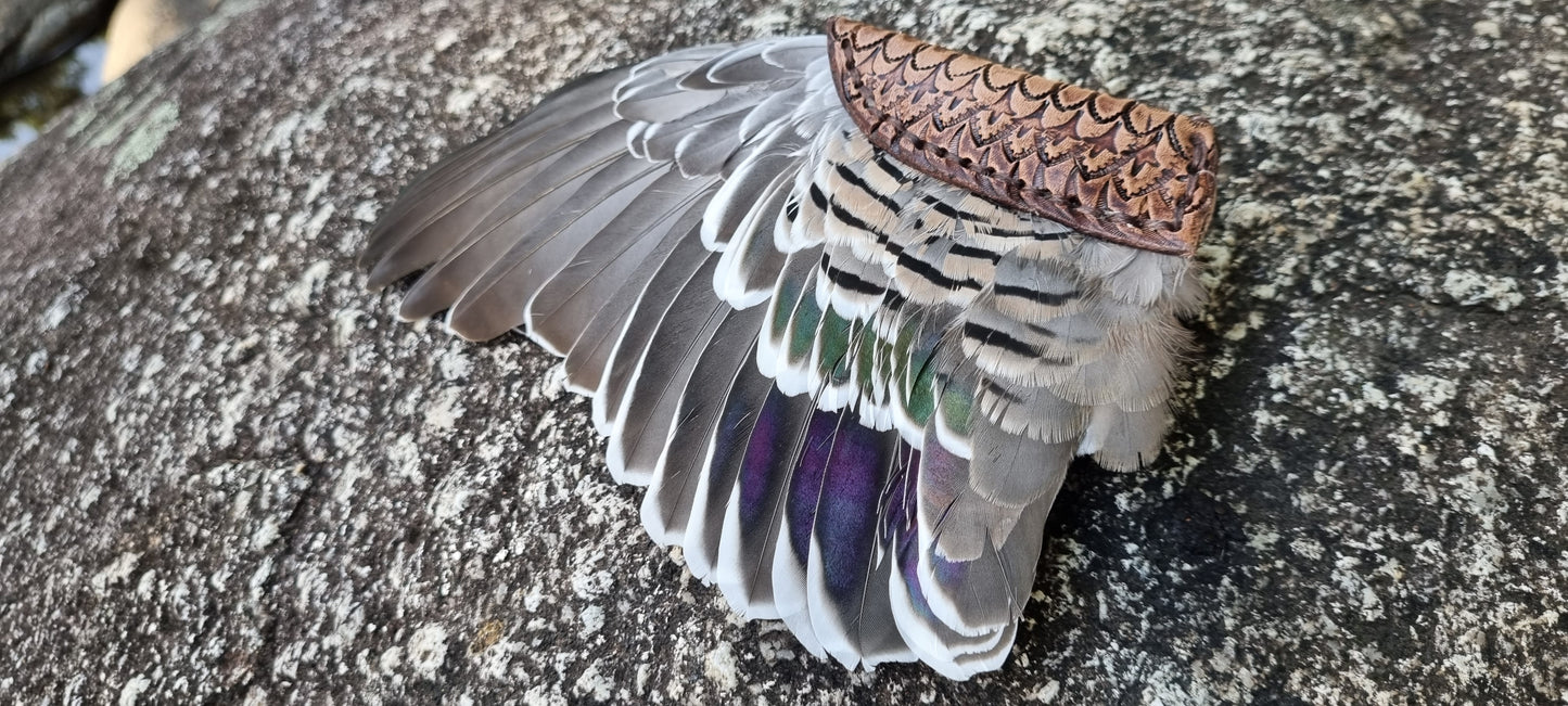 Crested pigeon wing and tail smudge fans