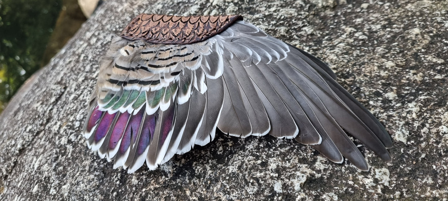 Crested pigeon wing and tail smudge fans