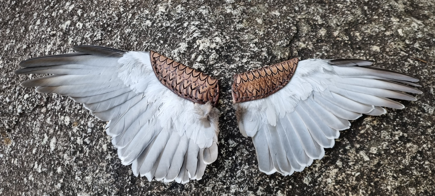 Crested pigeon wing and tail smudge fans