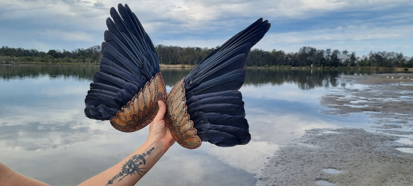 Raven wing smudge fans