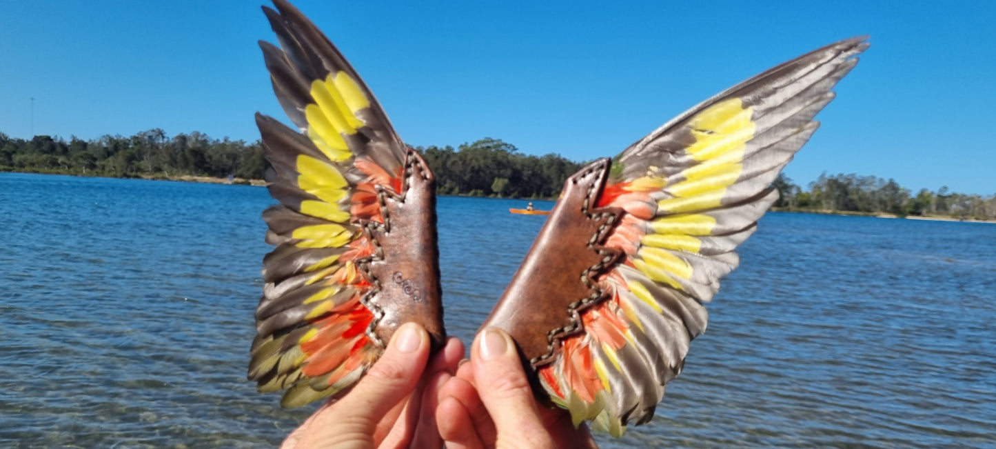 Lorikeet wing smudge fans