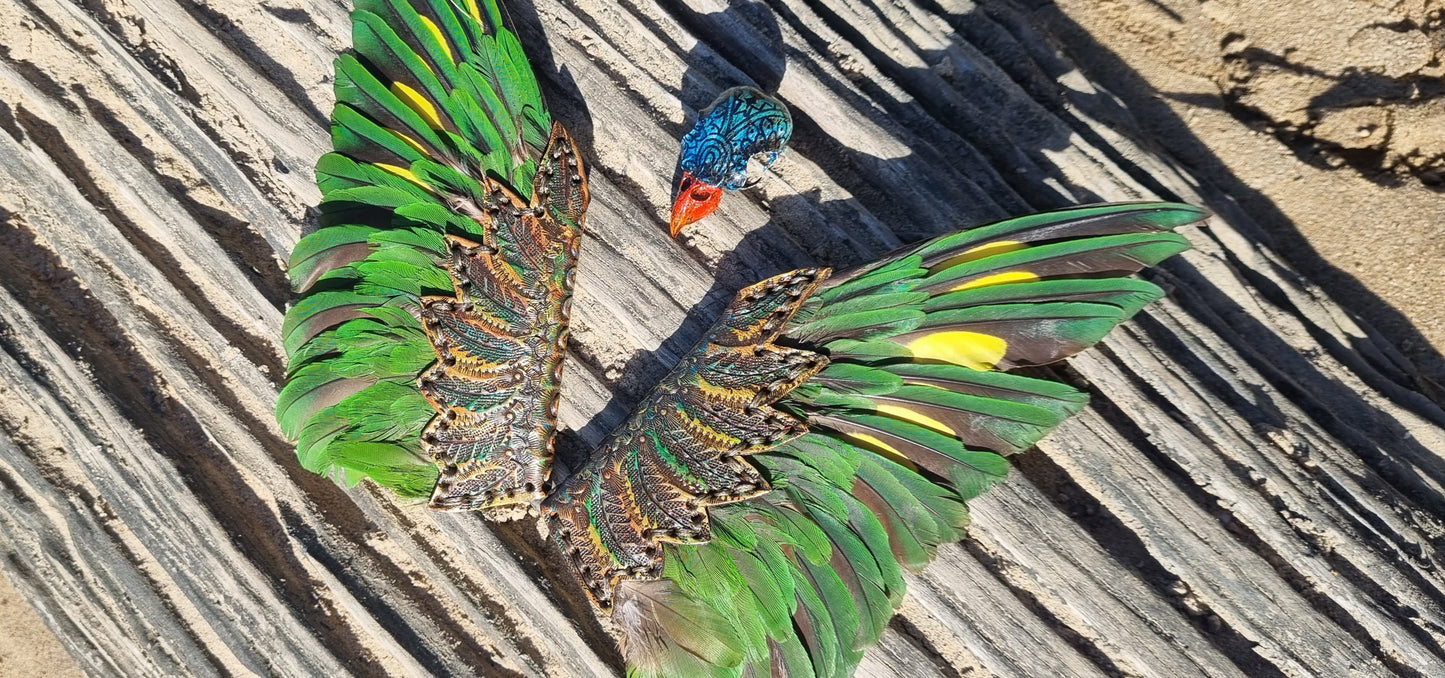 Lorikeet wing smudge fans