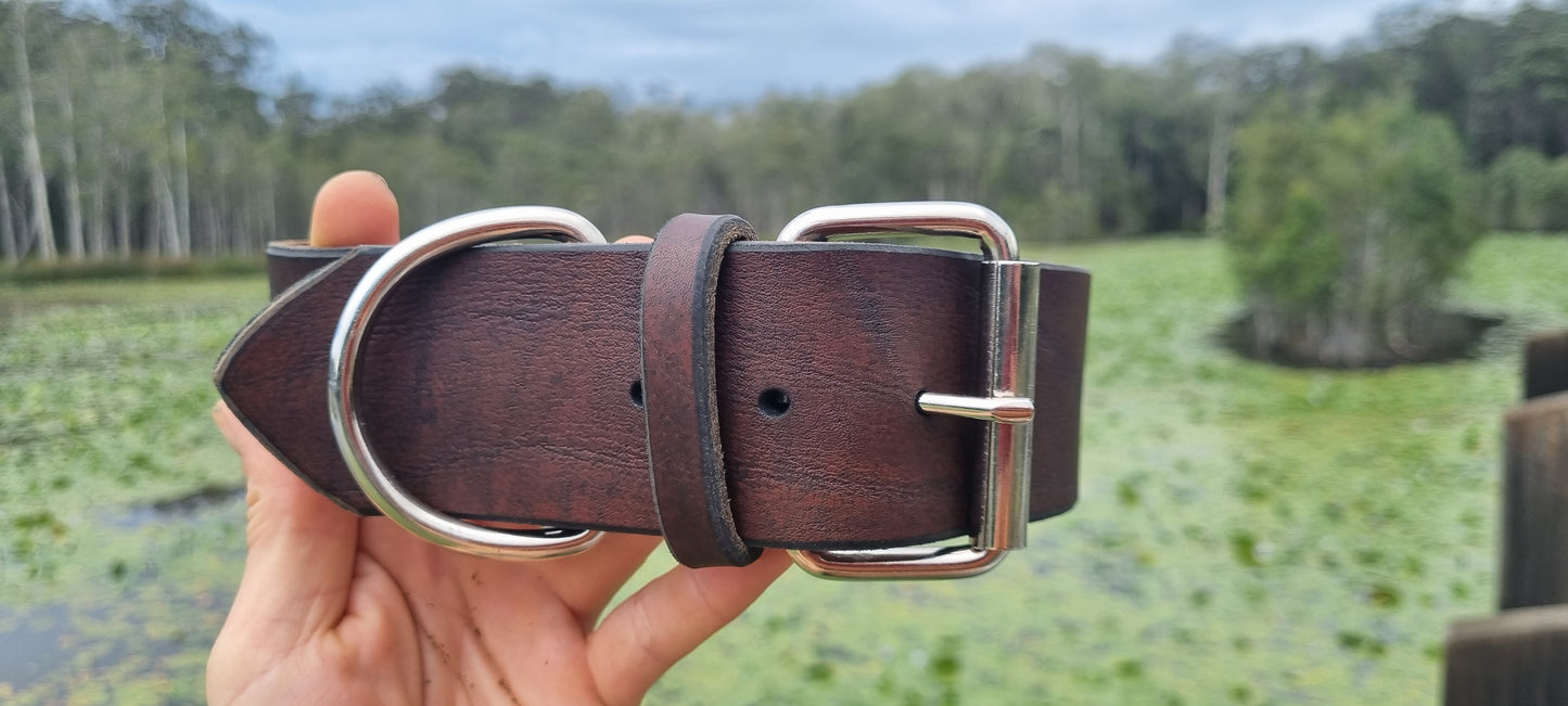 Custom Dog Collar