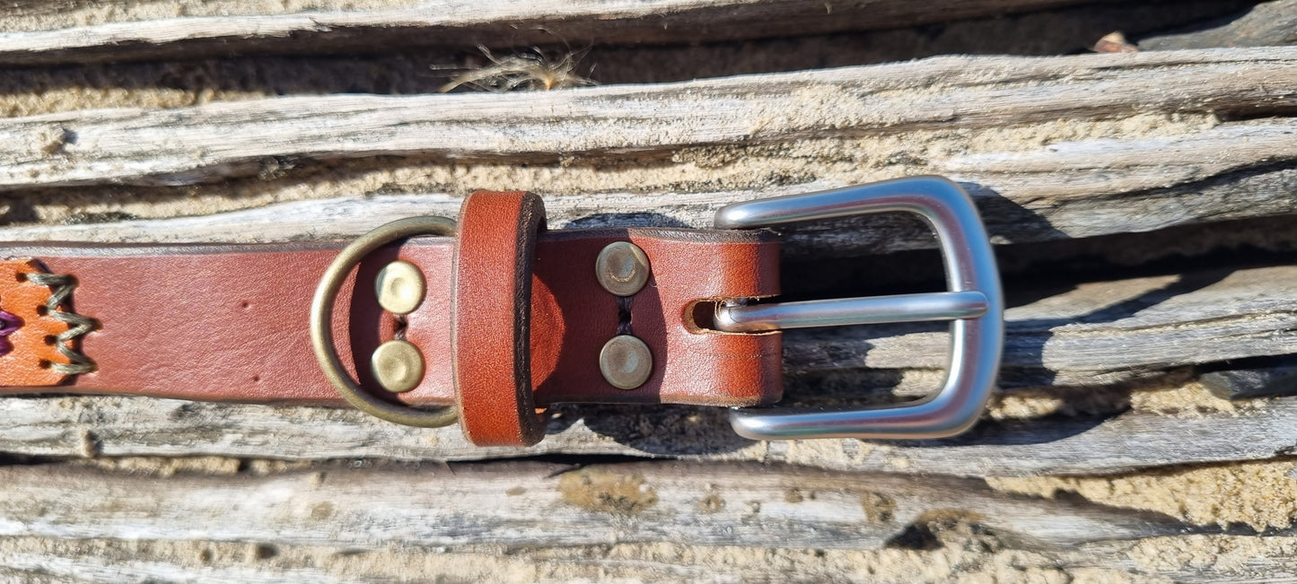 Custom Dog Collar