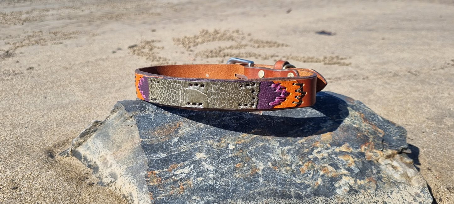 Custom Dog Collar