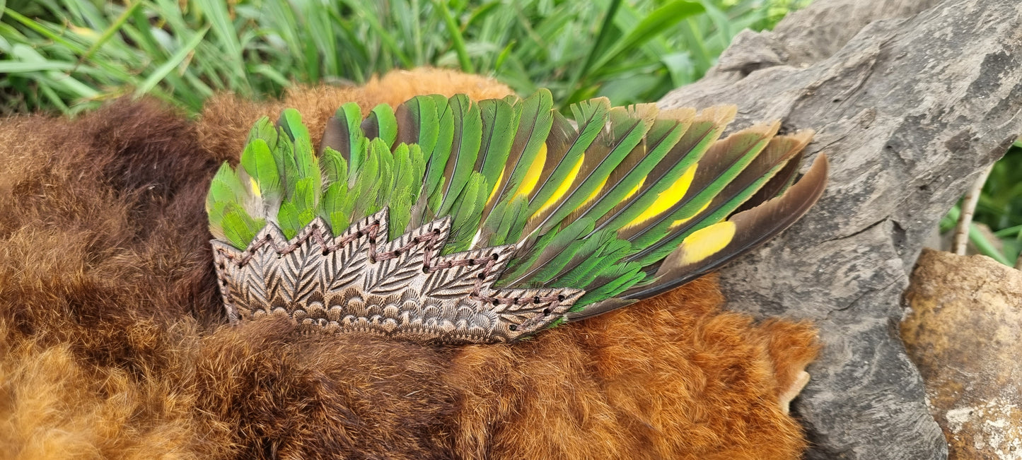 Lorikeet wing smudge fan