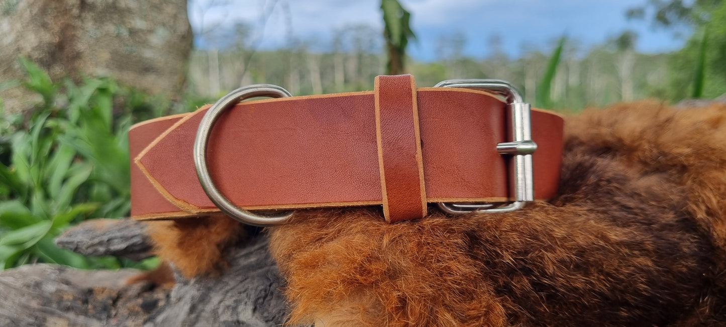 Carved Dog Collar