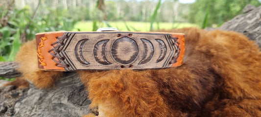 Carved Dog Collar