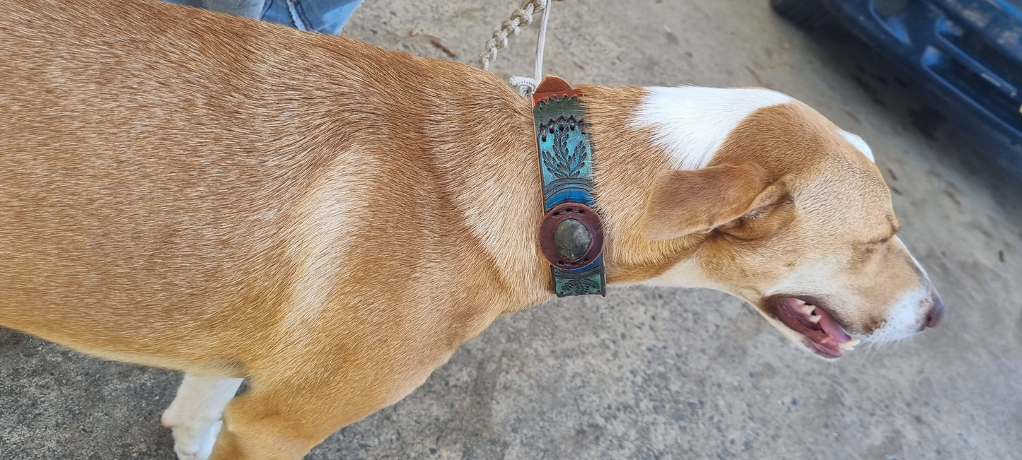 Carved Dog Collar