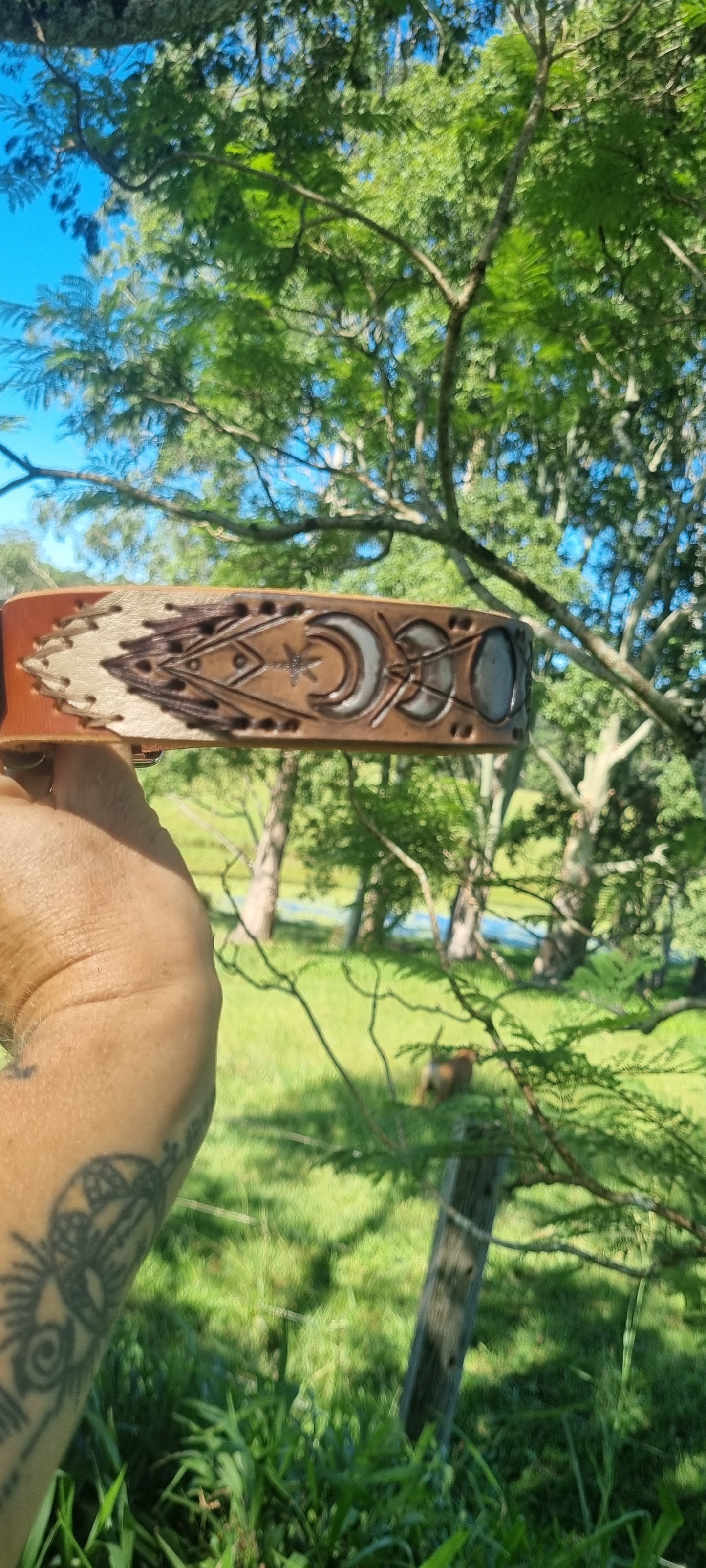 Custom Carved Dog Collar