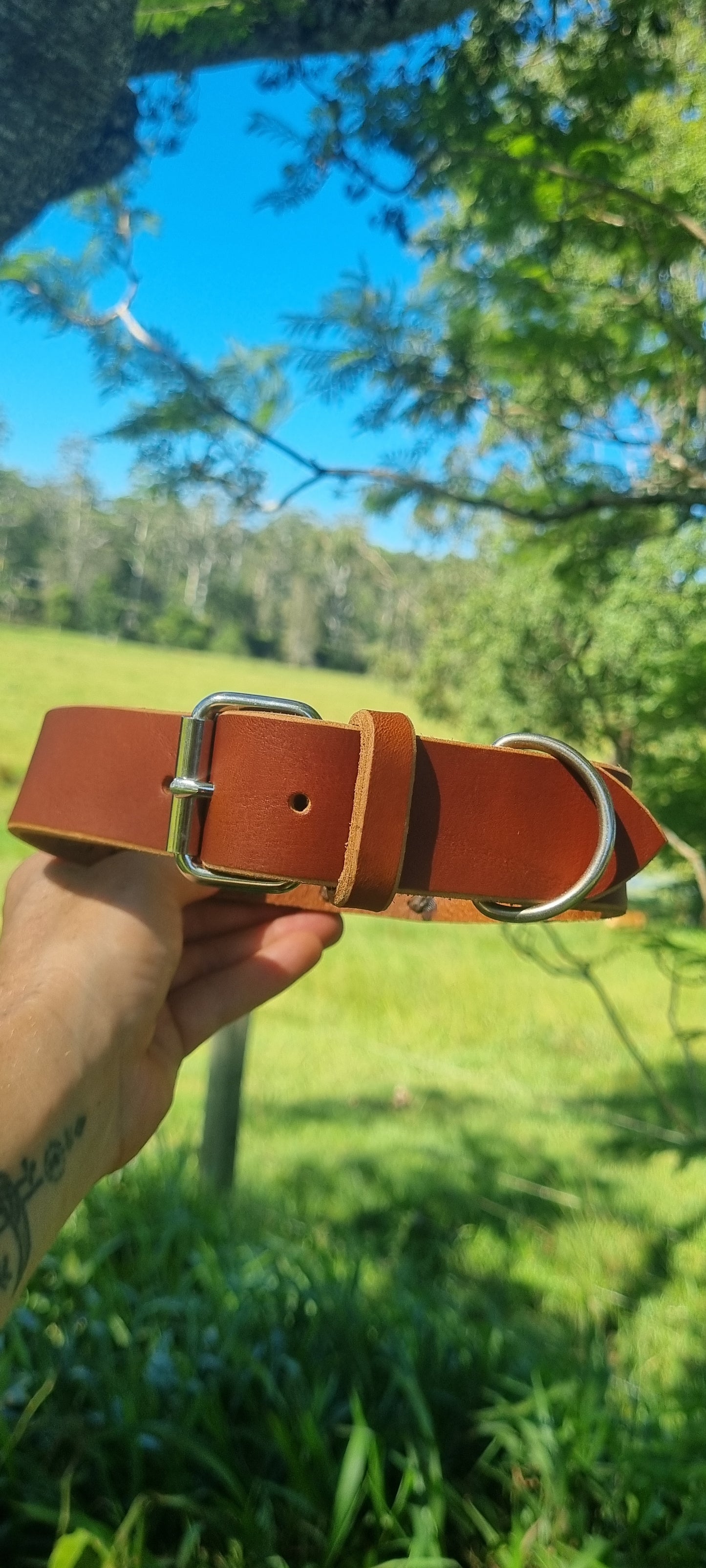 Custom Carved Dog Collar