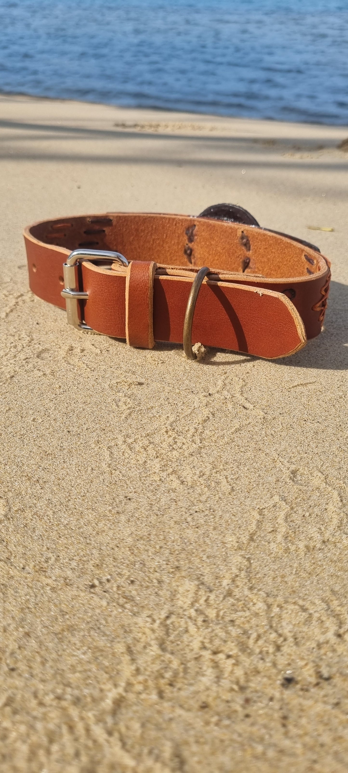 Organite Dog Collar