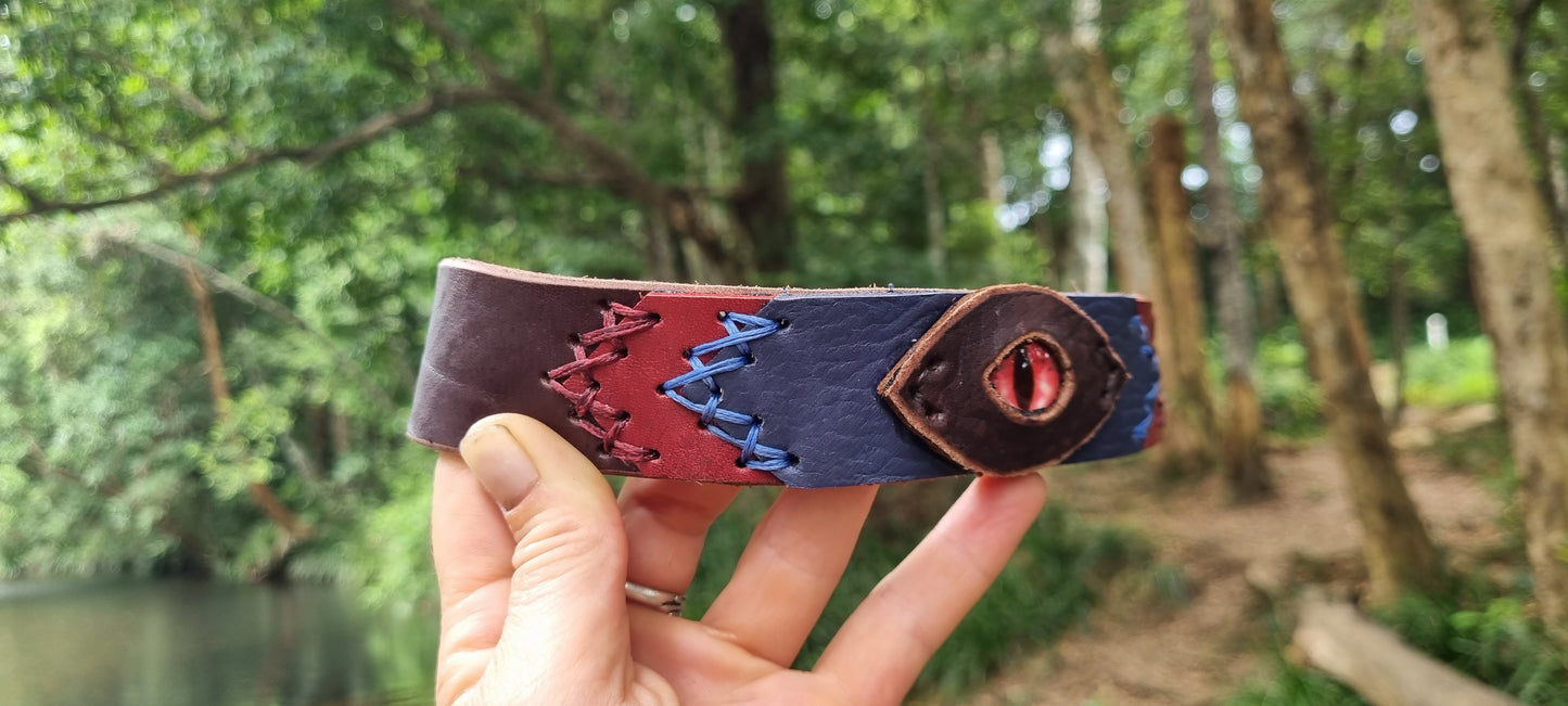 Custom 'eye' Dog Collar