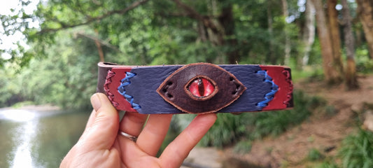 Custom 'eye' Dog Collar