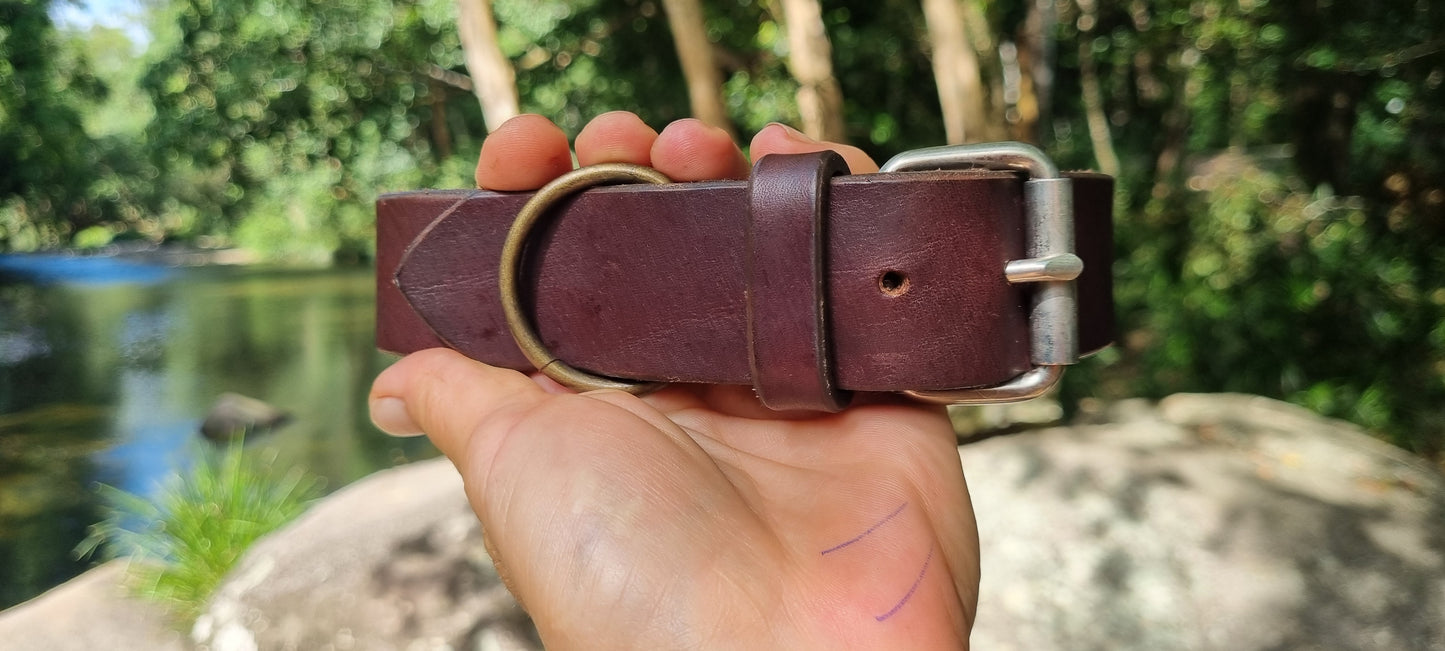 Engraved Dog Collar