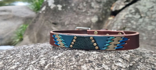 Custom Dog Collar