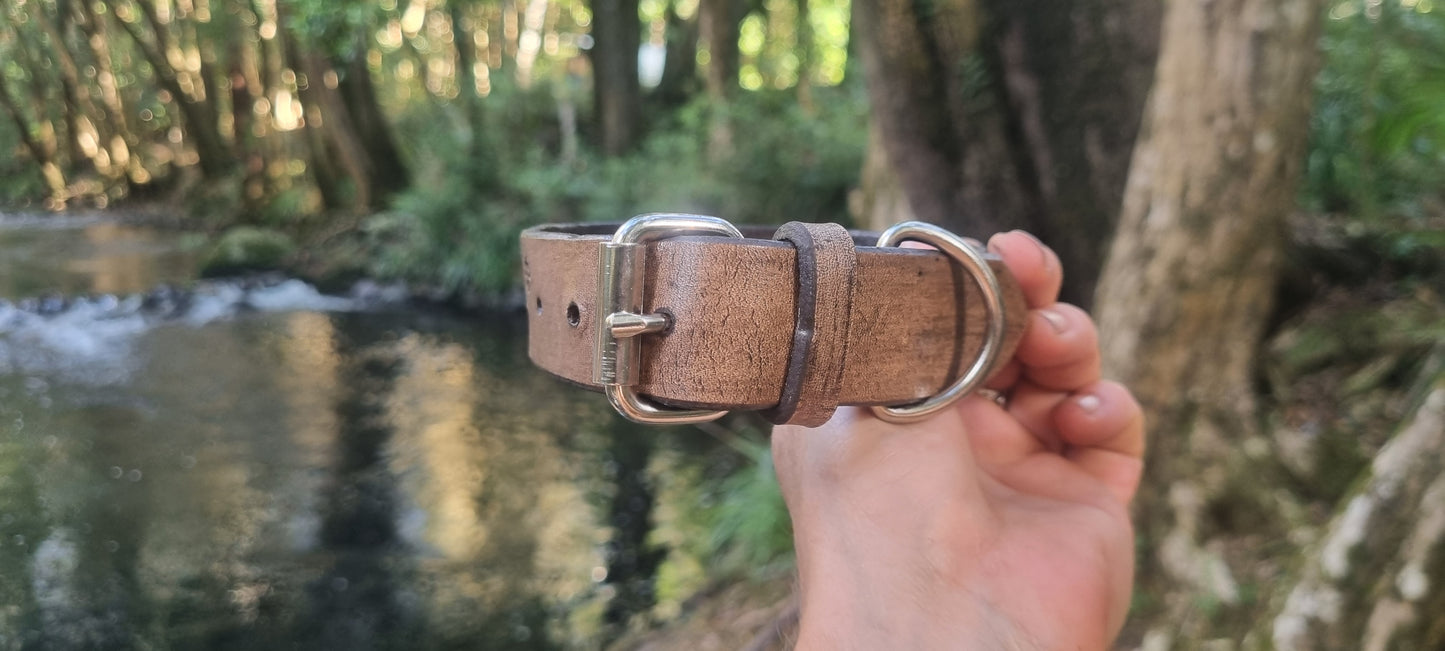 Engraved Leather Dog Collar