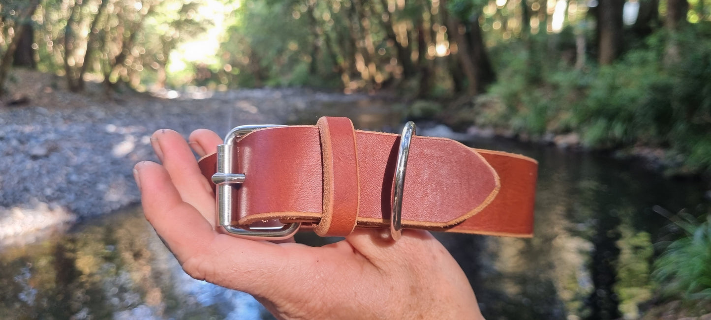 Handmade Engraved Dog Collar